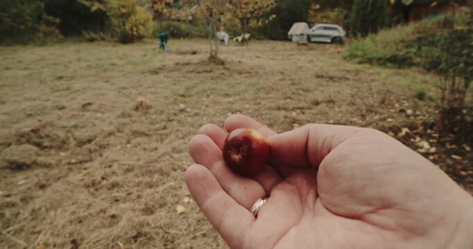 Hand Holding Small Red Crabapple Against Rural Autumn Meadow