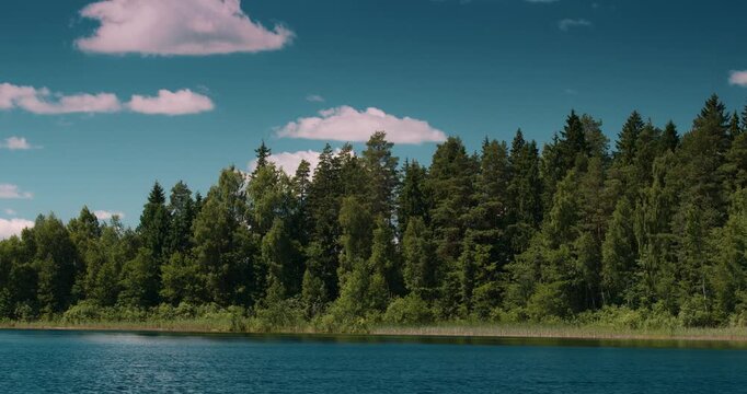 Blue Lake with Forest Shoreline Under Bright Summer Sky