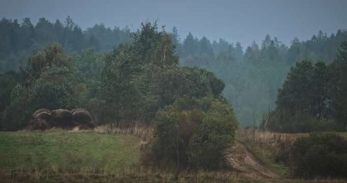 Foggy Rural Valley with Dirt Road and Forested Hills in Europe