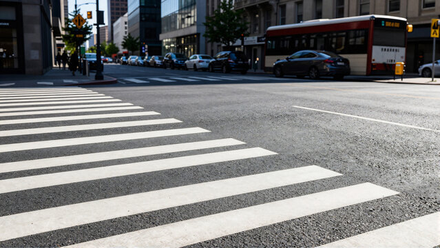 City Street Road with Pedestrian Zebra Crossing and Public Bus