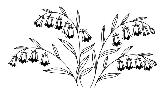 Bluebell cluster vector illustration with black line drawing for spring graphics.