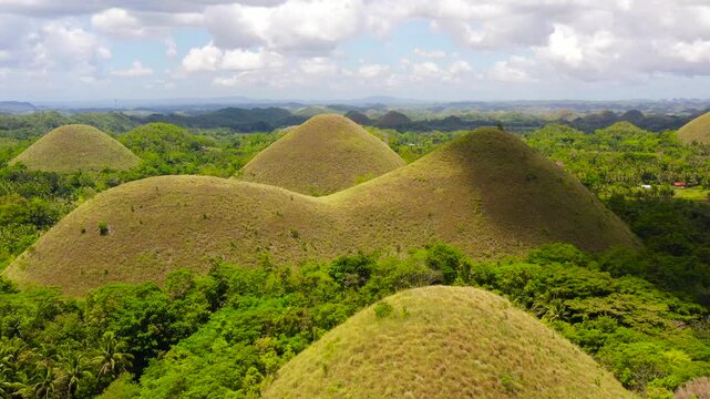 Chocolate Hills - one of the main attractions of the island of Bohol. Summer landscape in the Philippines.