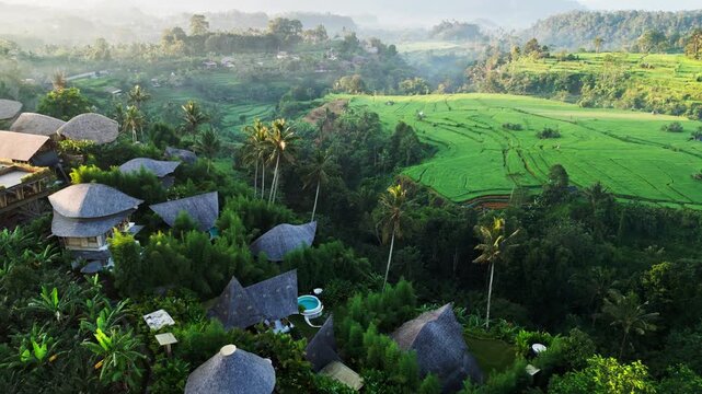 Bamboo villas surrounded by tropical gardens and dense greenery feature distinctive architecture private pools and rice terraces creating an exclusive eco retreat in Bali aerial drone footage