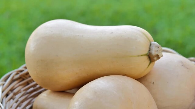 Butternut squash in a basket