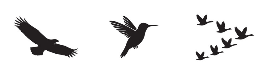 Fototapeta premium Bird silhouettes set with eagle, hummingbird and geese in flight for nature logos