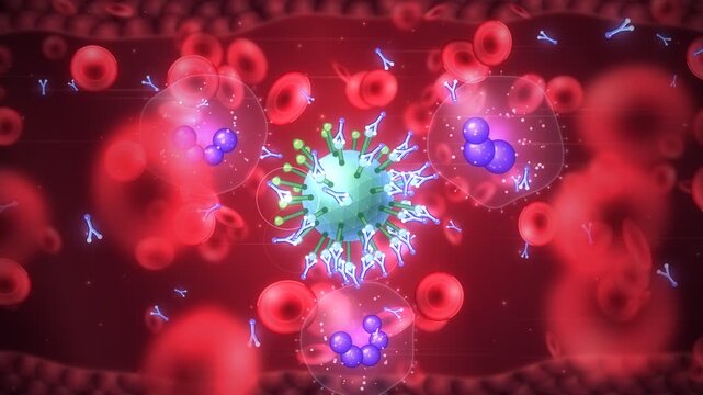 Antibodies attacking and neutralizing virus pathogen in bloodstream