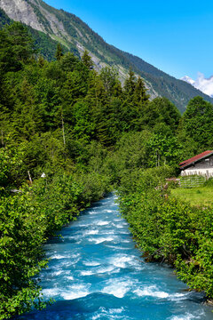 Der rauschende Bergbach Sch&auml;chen mit t&uuml;rkisblauem Wildwasser inmitten dichter W&auml;lder in Untersch&auml;chen, Kanton Uri, Schweiz