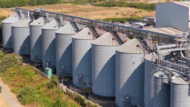 Industrial Grain and Seed Storage Facility Featuring a Row of Tall