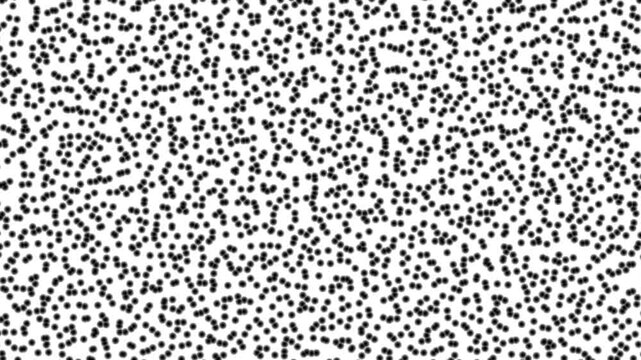Black Particles and Dot Noise Motion Animation on Isolated White Background