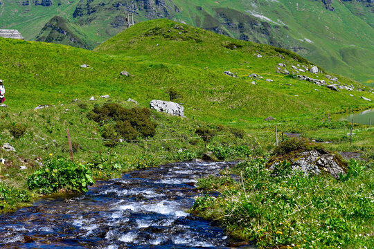Malerischer Gebirgsbach auf den Almwiesen der Oberalp im Kanton Uri, Schweiz
