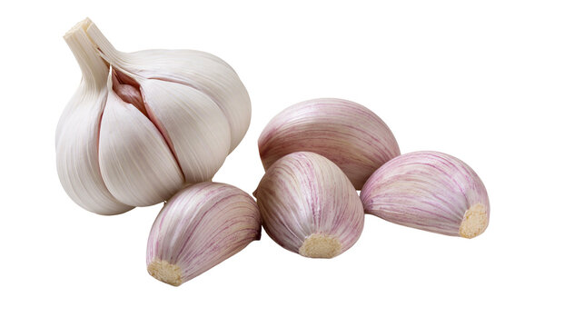 Isolated fresh whole garlic head and several cloves for cooking and healthy seasoning ingredient