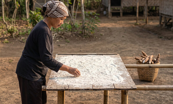 Traditional Tapioca Starch Drying in Sumedang Indonesia