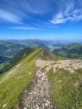 Panoramic vew of the Swiss Alps with green mountain ridge and blue sky, Switzerland	