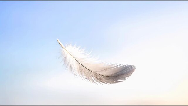 A single white feather floats in the air, free and untethered