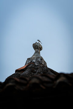 Stone roof finial against a pale blue sky vertical