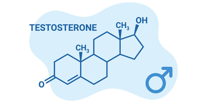Testosterone molecule structure with chemical formula and male gender symbol for medical science and biological education graphics.