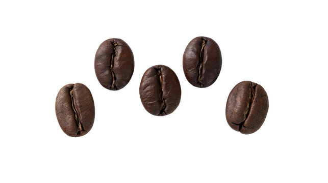 Isolated scattered dark roasted coffee beans with large white letter F and year 2004