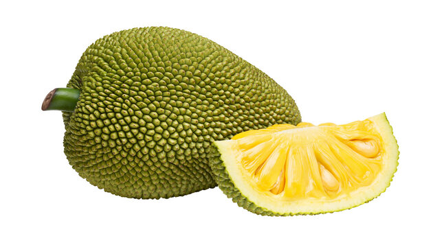 Isolated whole ripe tropical jackfruit fruit and a delicious juicy yellow slice showing seeds