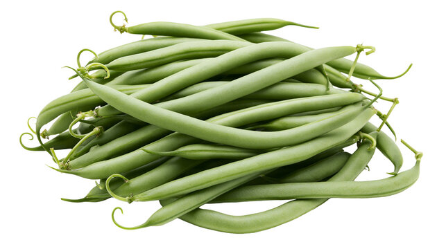 Isolated fresh green beans pile, healthy organic raw vegetable food ingredient closeup