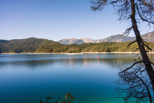 Scenic view of Eibsee lake with turquoise blue water framed by a pine tree branch and mountain peaks in Bavaria Germany.