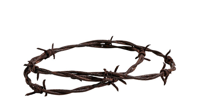 Isolated thorny barbed wire crown, a symbol of suffering, sacrifice, and religious concepts.