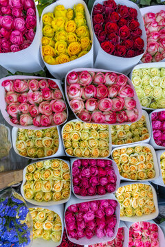 Colorful bunches of pink yellow red and white roses wrapped in paper and displayed in abundance for sale at a vibrant outdoor flower market stall, Yerevan, Armenia