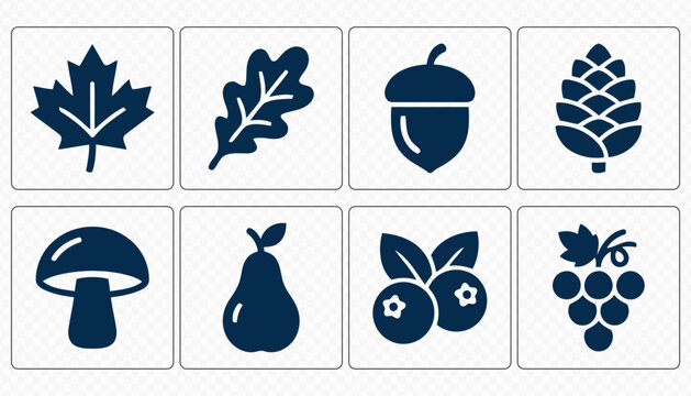 Autumn Nature Leaves Acorn and Forest Fruit Icon Set
