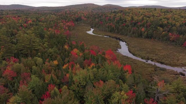 High up over Dead Stream in Lincoln, Maine with Fall Colors