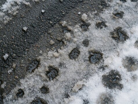 Close up of dirty snow, melting ice on dark urban asphalt road. Wet slushy texture covers city street surface during cold winter season. Gritty grey concrete ground shows weathered pattern of frozen