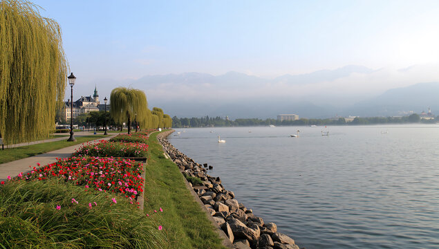 花壇としだれ柳が続く穏やかな湖畔公園