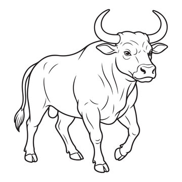 Strong bull outline line art illustration. Black and white horned ox farm animal character for kids and adults coloring page activity book.