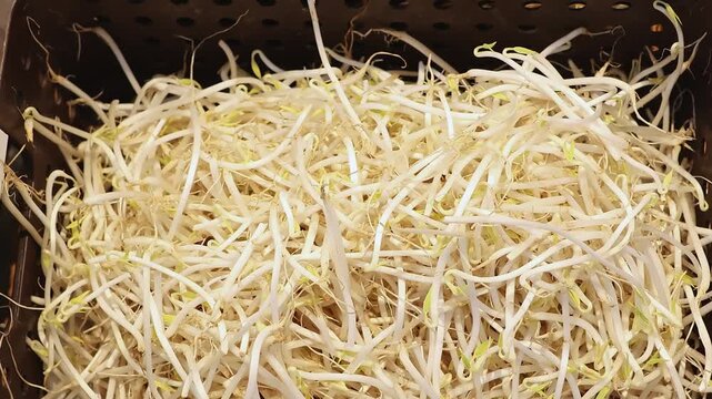 Smooth camera movement over containers of pale bean sprouts. Concept of fresh food, healthy eating, grocery shopping and plant based nutrition.