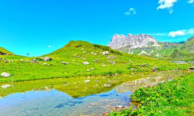 Unterschächen, Oberalp, Kanton Uri, Schweiz: Perfekte Spiegelung der Schächentaler Windgällen in der klaren Oberfläche eines Bergsees auf einer grünen Almwiese © Ilhan Balta