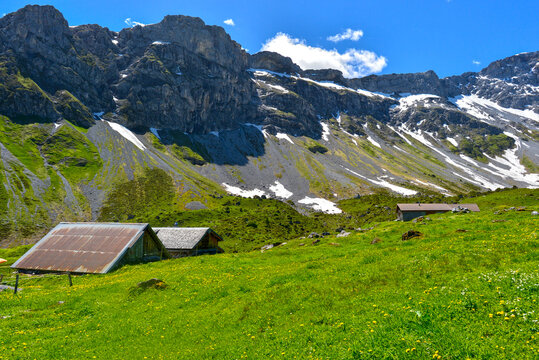 Untersch&auml;chen, Oberalp, Kanton Uri, Schweiz: Eine rustikale Bergh&uuml;tte mit Blechdach auf einer bl&uuml;henden Almwiese vor der steilen und felsigen Kulisse der Steinplangge