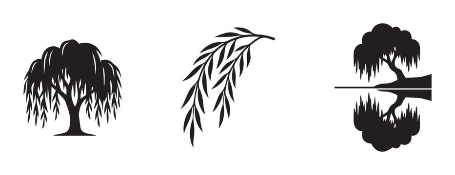 Weeping willow tree silhouettes set with branches and reflection, nature graphics