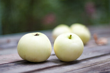 Light green apples Malus domestica on wood © 2xwilfinger