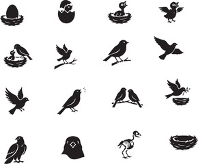 Fototapeta premium Bird life cycle illustrations showing hatching, nesting, and flight stages for educational and commercial use