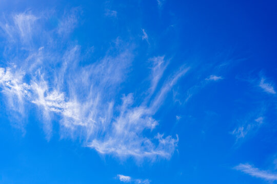 cirrus cloud in the sky