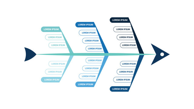 Fishbone diagram infographic isolated on transparent background