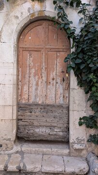 Weathered wooden door with ivy in Tourrettes-sur-Loup, France. 
