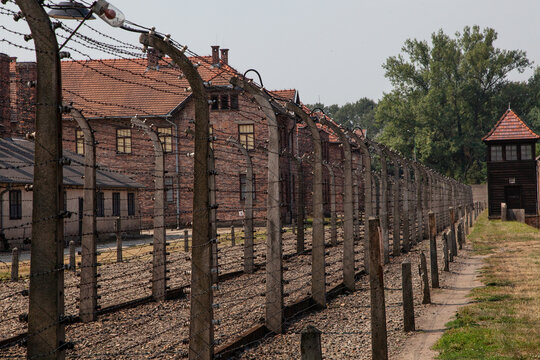 Barbed wire fence and watchtower at Auschwitz concentration camp