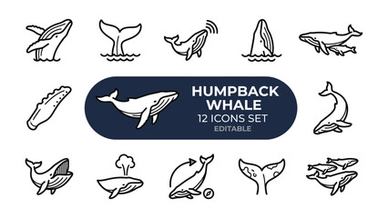 Fototapeta premium Humpback Whale Icon Set: A collection of stylized line art icons depicting various poses and actions of the majestic humpback whale, perfect for educational or marine biology themes.