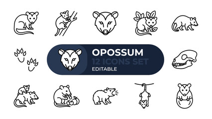 Obraz premium Opossum Icon Set: A comprehensive collection of twelve editable line art icons depicting various poses and activities of the opossum, showcasing its unique characteristics.