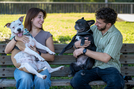Friends enjoying time together with their dogs in the park