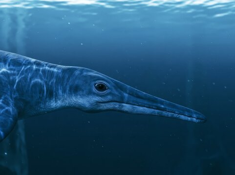 A photorealistic shot of an Ichthyosaur, resembling Stenopterygius, gliding gracefully through a deep, clear Jurassic ocean. Its streamlined