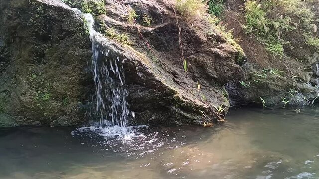Clear mountain stream water trickles down dark rocky cliff into calm natural pool. Tranquil flowing creek scene ideal for environmental projects, nature therapy videos, and outdoor relaxation concept