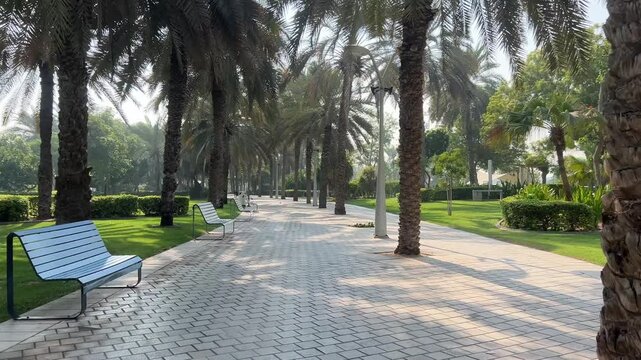 natural handheld shot moving along a stone-paved walkway lined with tall palm trees and benches in a sunny Dubai park.public park recreation, and peaceful vacation morning in the UAE.