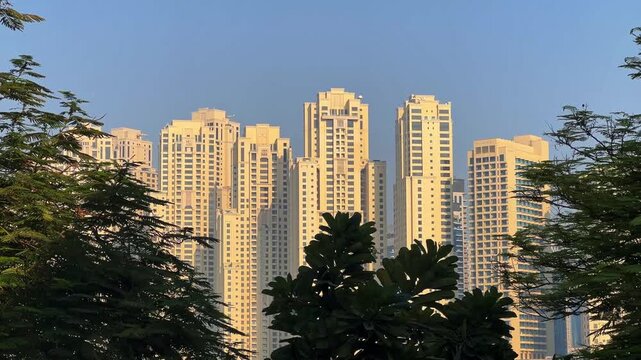 JBR Skyscrapers and Modern Buildings in Dubai Framed by Trees