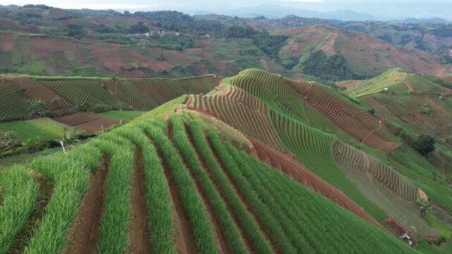 Aerial View of Panyaweuyan Terraced Fields in Majalengka West Java Indonesia