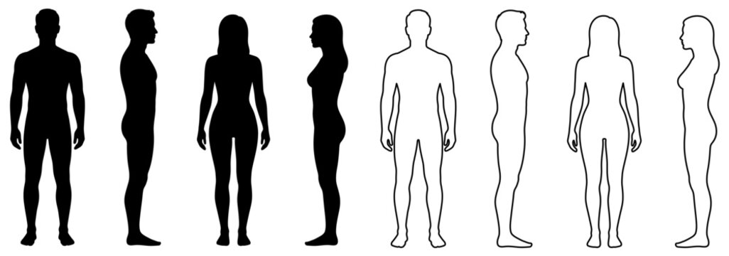 Human body silhouette and outline collection with male and female figures in front and side profile view | Flat vector graphic